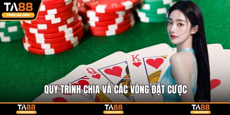 Quy trình chia và các vòng đặt cược